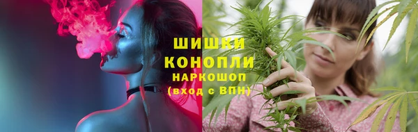 молекула духа Лихославль