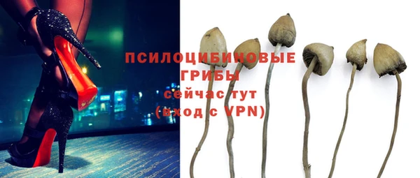 ГАЛЛЮЦИНОГЕННЫЕ ГРИБЫ Липки