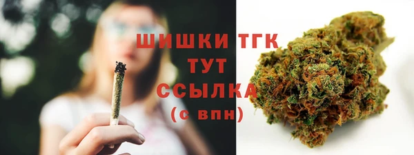 ГАЛЛЮЦИНОГЕННЫЕ ГРИБЫ Липки