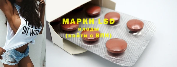 ГАЛЛЮЦИНОГЕННЫЕ ГРИБЫ Липки
