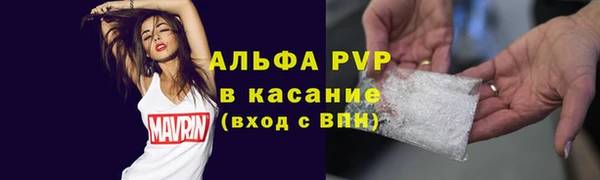 ГАЛЛЮЦИНОГЕННЫЕ ГРИБЫ Липки