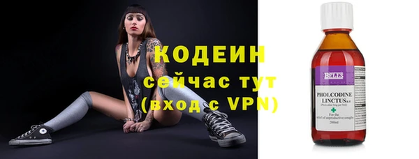 молекула духа Лихославль