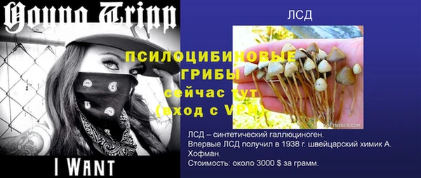гашик Лиски