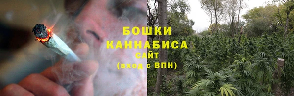 ГАЛЛЮЦИНОГЕННЫЕ ГРИБЫ Липки
